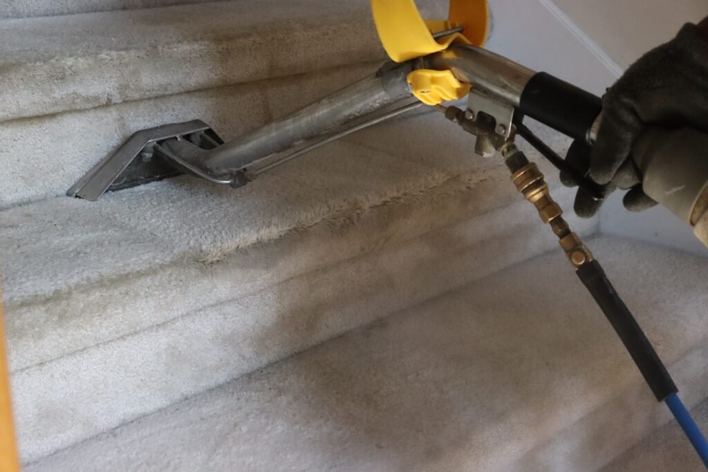 steam,clean,carpet,cleaning,and,equipment